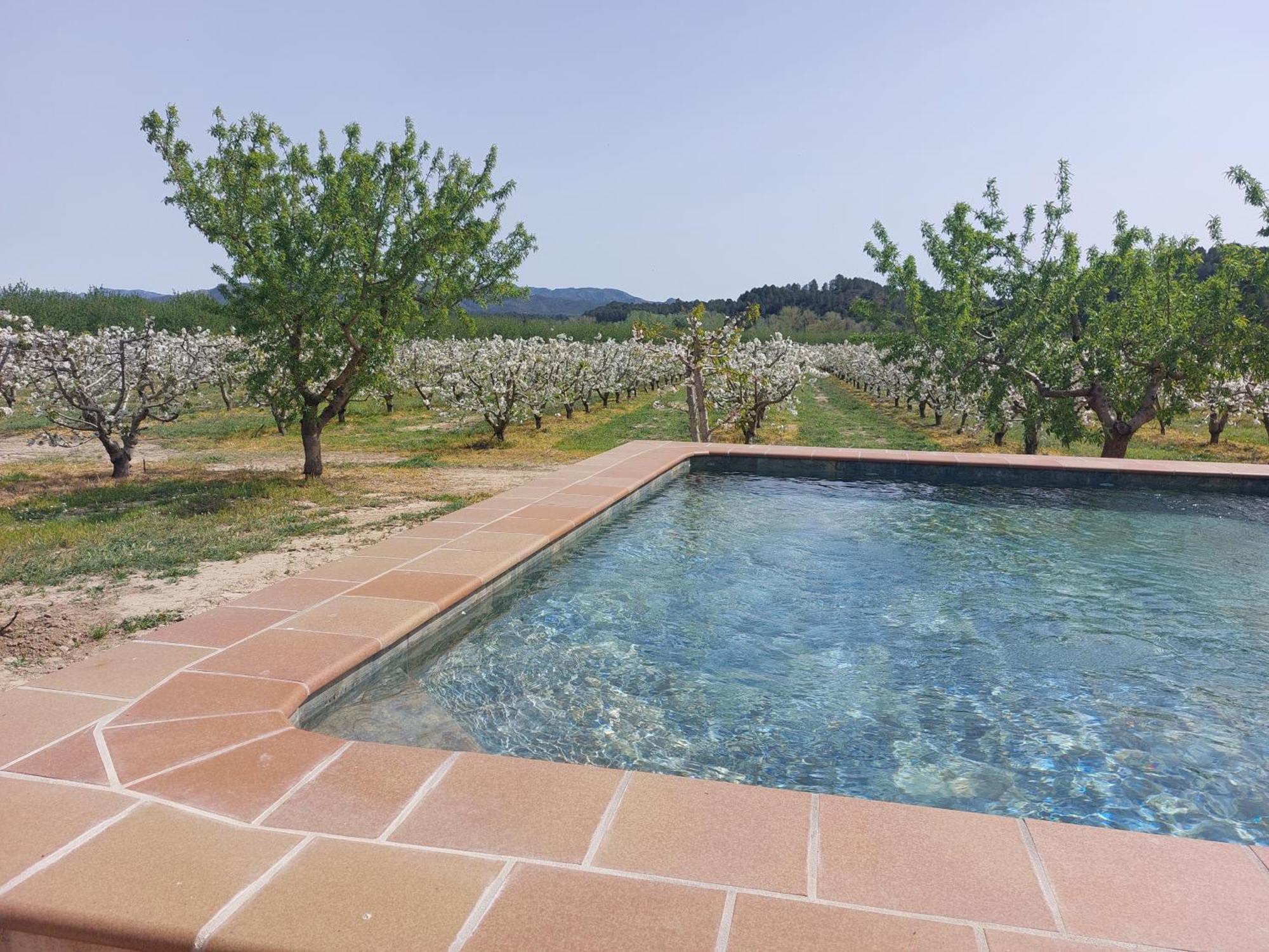 Masia Rural L'Hort De Maso Miravet Εξωτερικό φωτογραφία